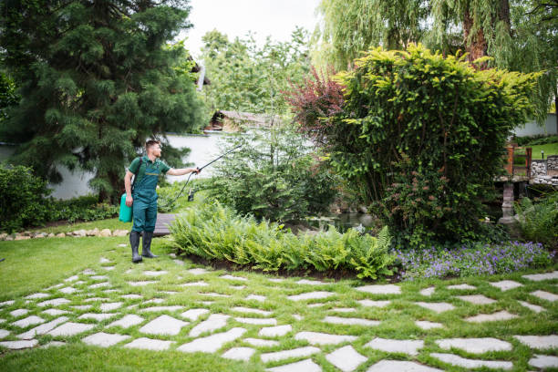 Best Exterminator Services  in Mattawan, MI