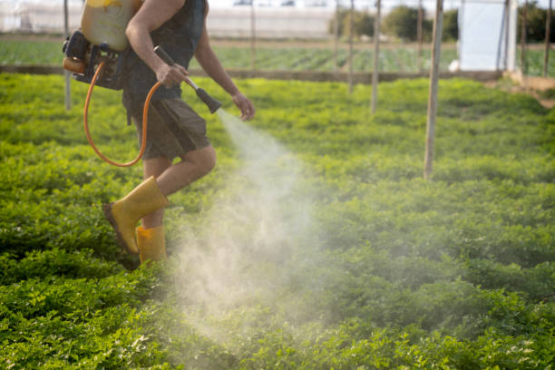 Best Best Pest Control Companies  in Mattawan, MI