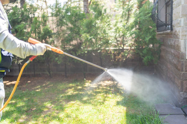 Best Flea Control Services  in Mattawan, MI
