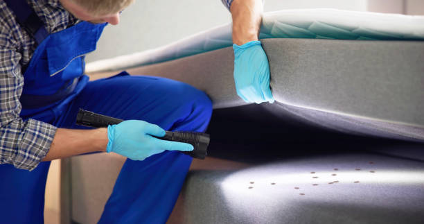 Best Affordable Pest Control Services  in Mattawan, MI