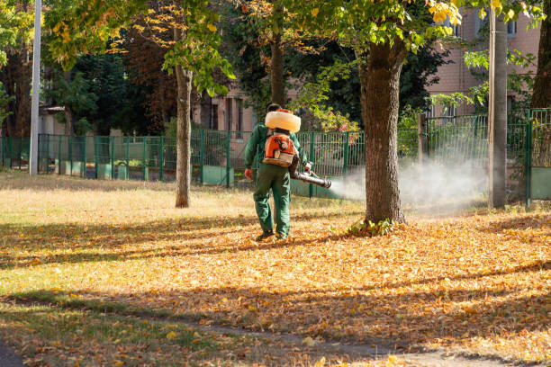 Best Spider Control Near Me  in Mattawan, MI