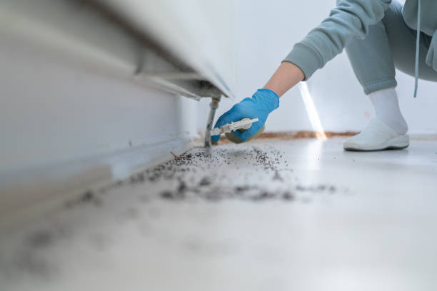 Best Residential Pest Control  in Mattawan, MI