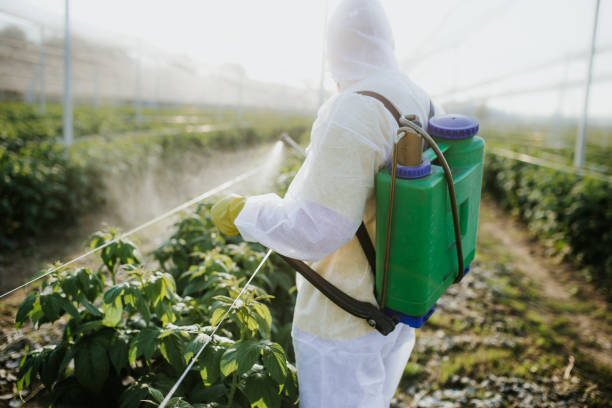 Best Residential Pest Control  in Mattawan, MI